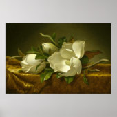 Magnolias on Gold Velvet Cloth by MJ Heade Poster (Voorkant)