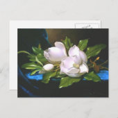 Magnolias op Blue Velvet - Briefkaart (Voorkant / Achterkant)