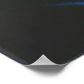 Magnolias op Blue Velvet Poster (Hoek)