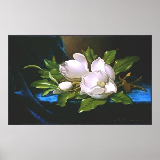 Magnolias op Blue Velvet Poster (Voorkant)