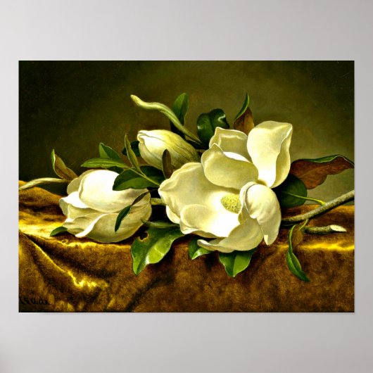 Magnolias op de goudvetkast poster (Voorkant)
