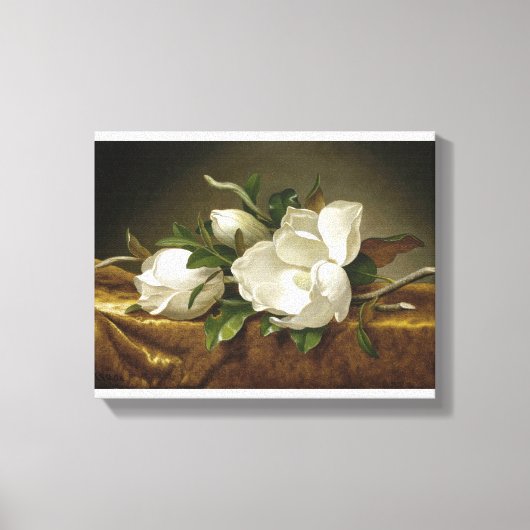 Magnolias op Gold Velvet Cloth door Martin Johnson Canvas Afdruk (Voorkant)