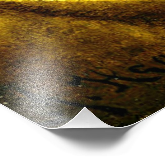 Magnolia's op gouden fluweel foto afdruk (Hoek)