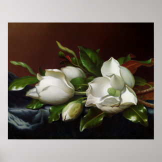 Magnolia's op lichtblauw door Martin Johnson Heade Poster