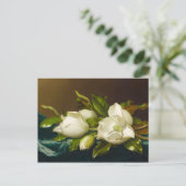 Magnolia's op lichtblauw fluwelen doek van M J Hea Briefkaart (Staand voorkant)