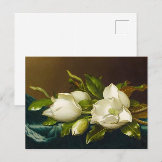 Magnolia's op lichtblauw fluwelen doek van M J Hea Briefkaart (Voorkant / Achterkant)