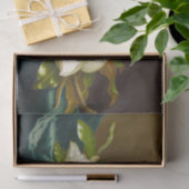 Magnolia's op lichtblauw fluwelen doek van M J Hea Tissuepapier (Geschenk)