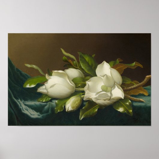Magnolia's op lichtblauwe fluweel, beroemd schilde poster (Voorkant)