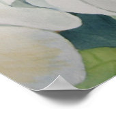 Magnolias Poster (Hoek)