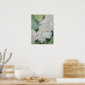 Magnolias Poster (Keuken)