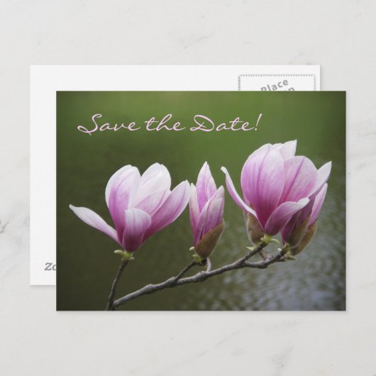 Magnolias, sla de Datum op! Aankondigingskaart (Voorkant / Achterkant)