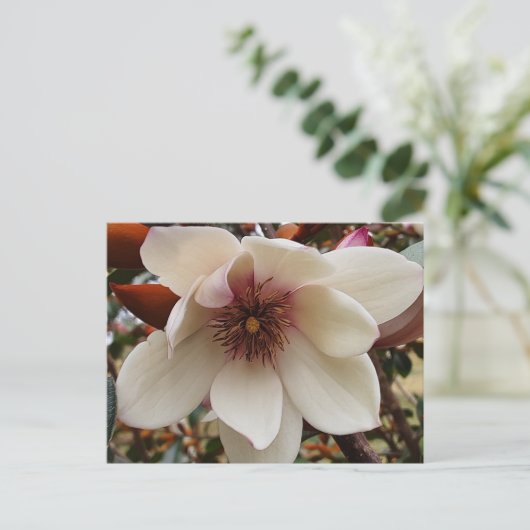 Magnoliebloem Briefkaart (Staand voorkant)