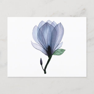 Magnoliebloem Briefkaart