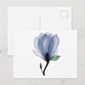 Magnoliebloem Briefkaart (Voorkant / Achterkant)