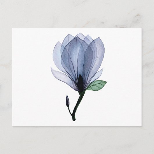 Magnoliebloem Briefkaart (Voorkant)
