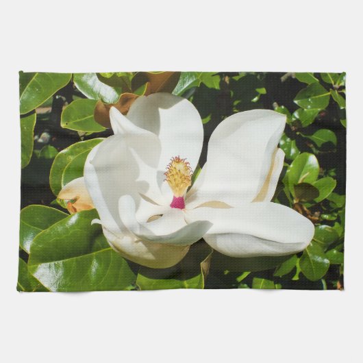 Magnoliebloem Theedoek (Horizontaal)