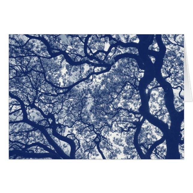 Magnolieboom - Cyanotype-effect (Voorkant Horizontaal)