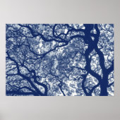 Magnolieboom - Cyanotype-effect Poster (Voorkant)