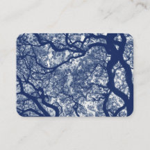 Magnolieboom - Cyanotype-effect