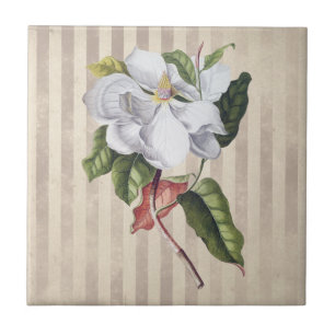  Magnolievloer op staven Tegeltje