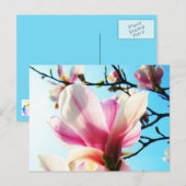 Magnoliumbloemen - Briefkaart (Voorkant / Achterkant)