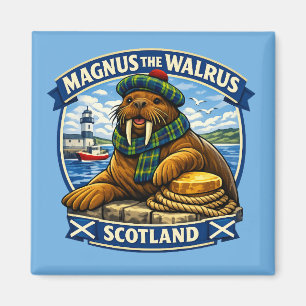 Magnus de Schotse minnende walrus aan de kust van  Magneet