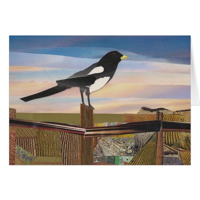 Magpie (Voorkant Horizontaal)