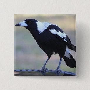 Magpie Badge (2) Ideaal voor Collingwood Vierkante Button 5,1 Cm