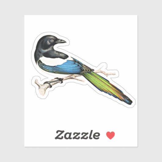 Magpie Bird Sticker (Vel)