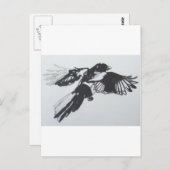 Magpie Briefkaart (Voorkant / Achterkant)