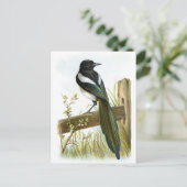 Magpie Briefkaart (Staand voorkant)