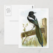 Magpie Briefkaart (Voorkant / Achterkant)