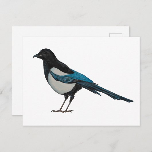 Magpie Briefkaart (Voorkant / Achterkant)