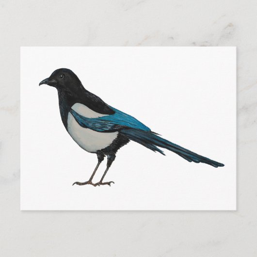Magpie Briefkaart (Voorkant)