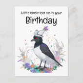 Magpie dragen verjaardag pet confetti achtergrond briefkaart (Voorkant)
