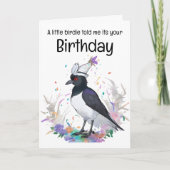 Magpie dragen verjaardag pet confetti achtergrond kaart (Voorkant)