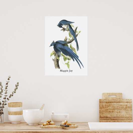 Magpie Jay, John Audubon Poster (Keuken)
