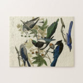Magpie Jays & Nutkraker Audubon Birds of America Legpuzzel (Horizontaal)
