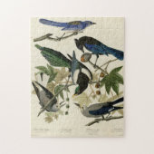 Magpie Jays & Nutkraker Audubon Birds of America Legpuzzel (Verticaal)