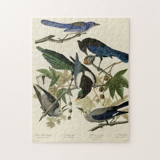 Magpie Jays & Nutkraker Audubon Birds of America Legpuzzel (Verticaal)