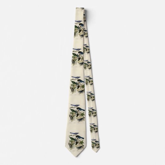 Magpie Jays & Nutkraker Audubon Birds of America Stropdas (Voorkant)