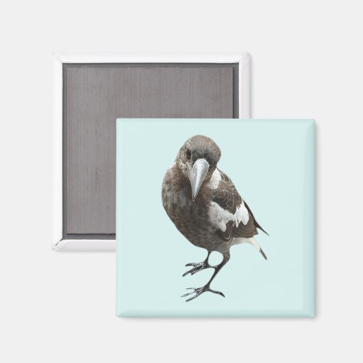 Magpie Magneet (Voorkant / Achterkant)