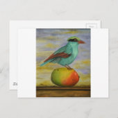 Magpie op een mango briefkaart (Voorkant / Achterkant)