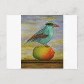 Magpie op een mango briefkaart (Voorkant)