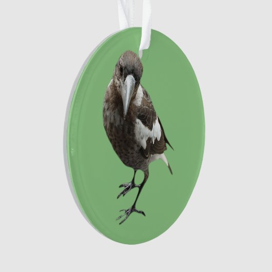 Magpie Ornament (voorkant)