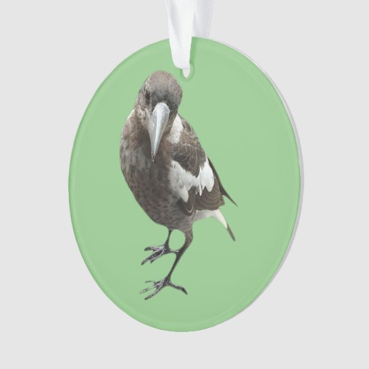 Magpie Ornament (voorkant)