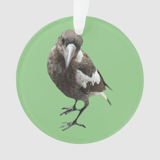 Magpie Ornament (voorkant)