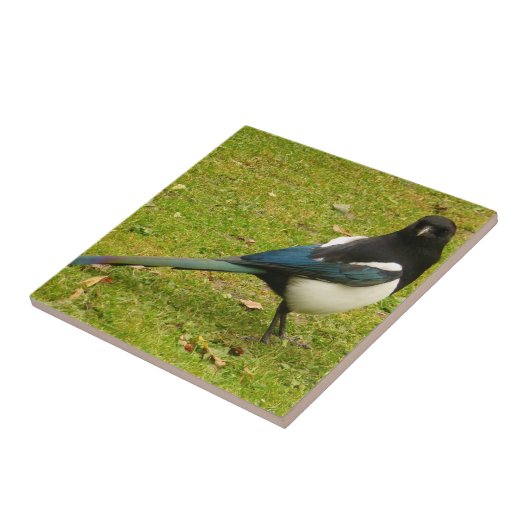 Magpie Tile Tegeltje (Zijkant)