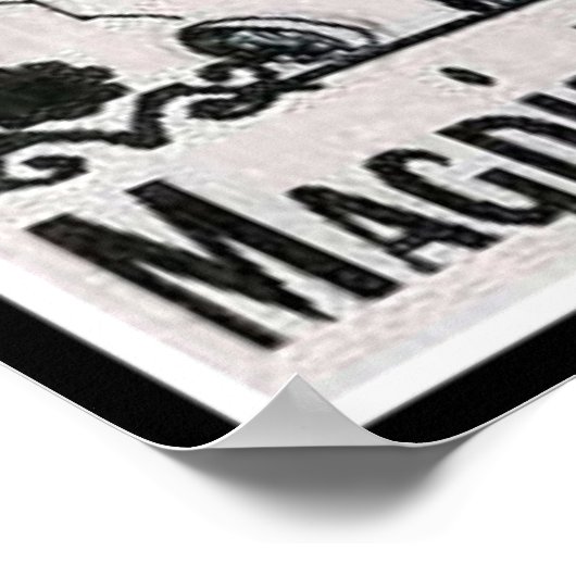 Magpie Totem OCCULT Poster (Hoek)