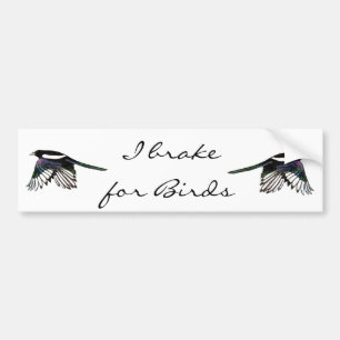 Magpie - Waterverf Bird Bumpersticker